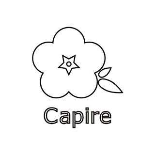 Capire（カピーレ）のロゴマーク